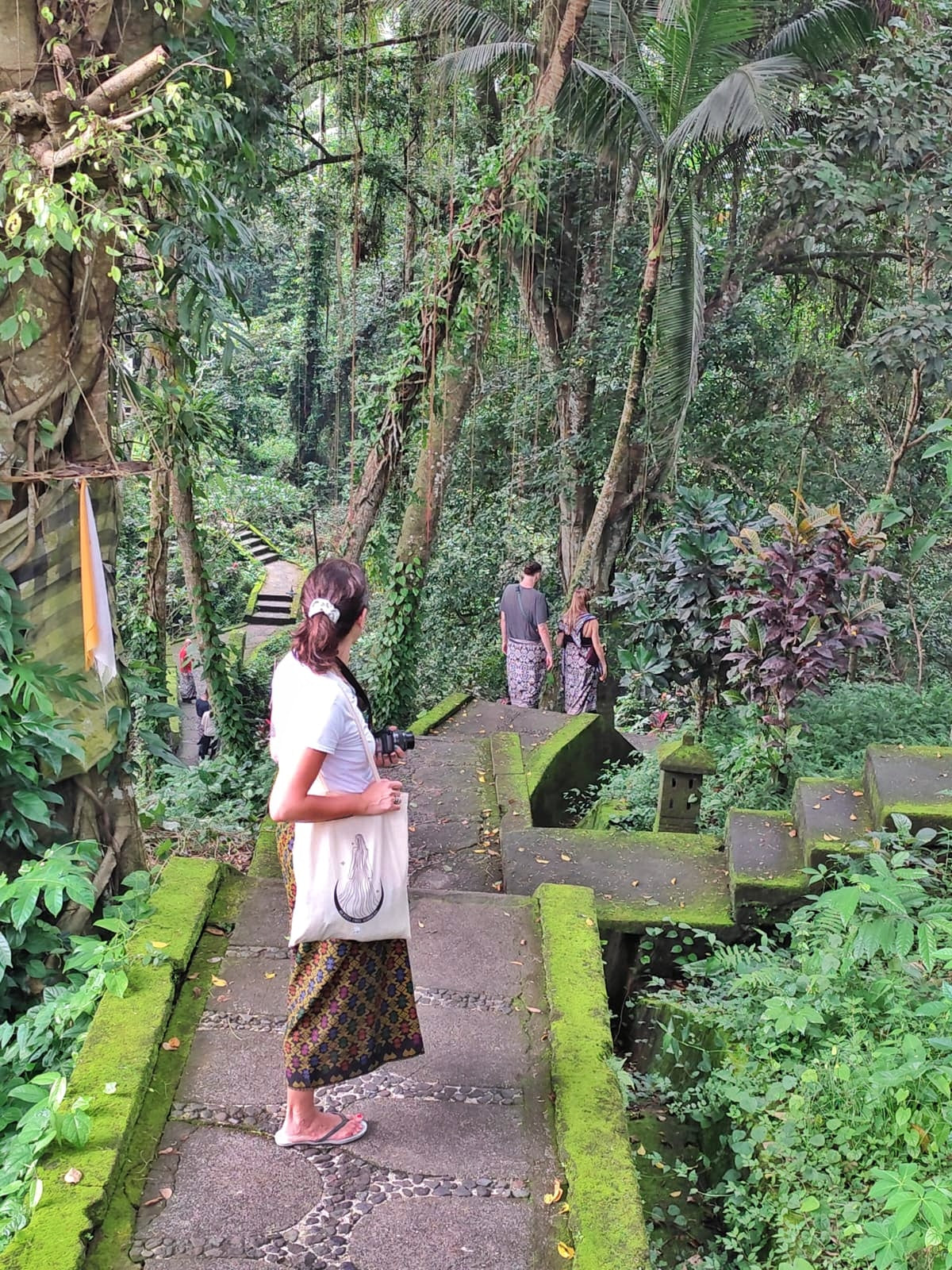 "Gluten Free Goddess" Tote Bag